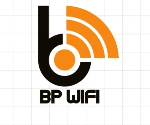 BP Networks-logo